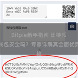 Bitpie新手指南 比特派钱包安全吗？专家详解其全面优势