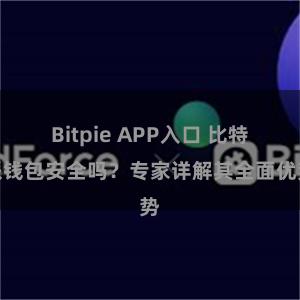 Bitpie APP入口 比特派钱包安全吗？专家详解其全面优势