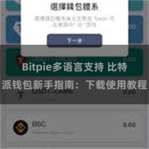 Bitpie多语言支持 比特派钱包新手指南：下载使用教程