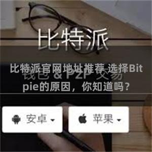 比特派官网地址推荐 选择Bitpie的原因，你知道吗？