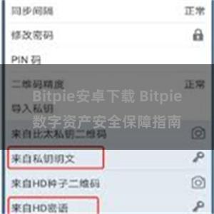 Bitpie安卓下载 Bitpie数字资产安全保障指南