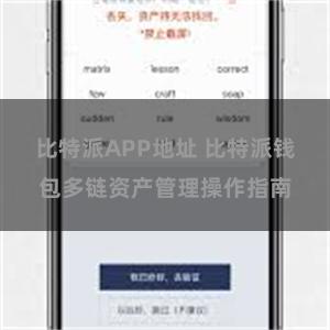 比特派APP地址 比特派钱包多链资产管理操作指南