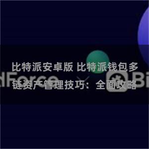 比特派安卓版 比特派钱包多链资产管理技巧：全面攻略