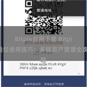 Bitpie应用下载 Bitpie钱包使用技巧：多链资产管理全攻略