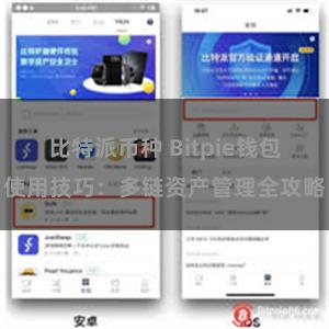 比特派币种 Bitpie钱包使用技巧：多链资产管理全攻略