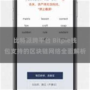 比特派跨平台 Bitpie钱包支持的区块链网络全面解析