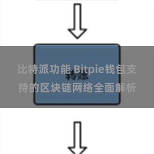 比特派功能 Bitpie钱包支持的区块链网络全面解析