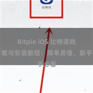 Bitpie iOS 比特派钱包下载与安装教程：简单易懂，新手必看