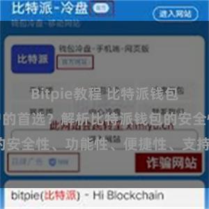 Bitpie教程 比特派钱包为何是专业用户的首选？解析比特派钱包的安全性、功能性、便捷性、支持性等优势。