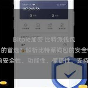 Bitpie加密 比特派钱包为何是专业用户的首选？解析比特派钱包的安全性、功能性、便捷性、支持性等优势。