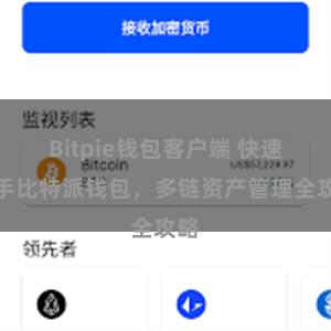 Bitpie钱包客户端 快速上手比特派钱包，多链资产管理全攻略