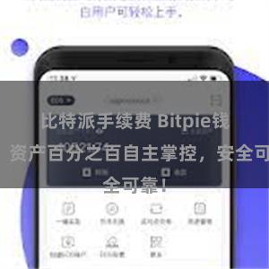 比特派手续费 Bitpie钱包：资产百分之百自主掌控，安全可靠！