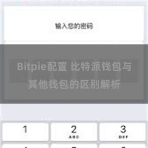 Bitpie配置 比特派钱包与其他钱包的区别解析