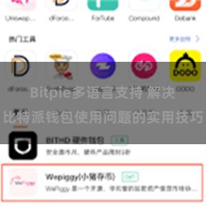 Bitpie多语言支持 解决比特派钱包使用问题的实用技巧