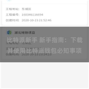 比特派新手 新手指南：下载并使用比特派钱包必知事项