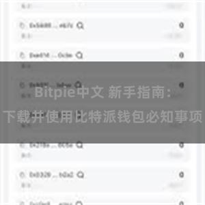 Bitpie中文 新手指南：下载并使用比特派钱包必知事项