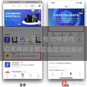 Bitpie轻钱包 比特派钱包支持的主要区块链网络解析