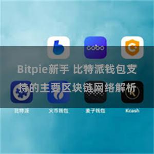 Bitpie新手 比特派钱包支持的主要区块链网络解析