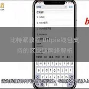 比特派教程 Bitpie钱包支持的区块链网络解析