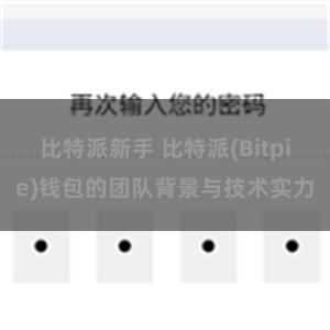 比特派新手 比特派(Bitpie)钱包的团队背景与技术实力