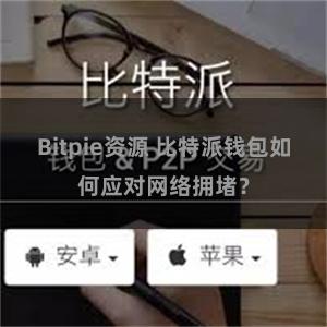 Bitpie资源 比特派钱包如何应对网络拥堵？