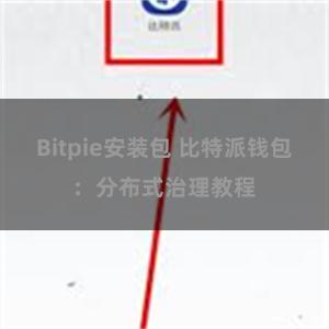 Bitpie安装包 比特派钱包：分布式治理教程