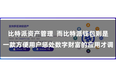 比特派资产管理  而比特派钱包则是一款方便用户惩处数字财富的应用才调