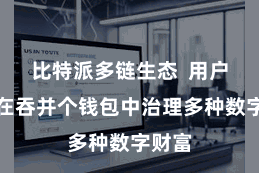 比特派多链生态  用户不错在吞并个钱包中治理多种数字财富